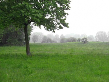 Bild 2 von Lehmkuhlen (ehemalige)